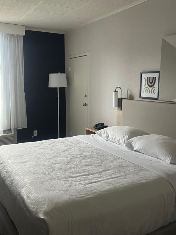 King Room image 1