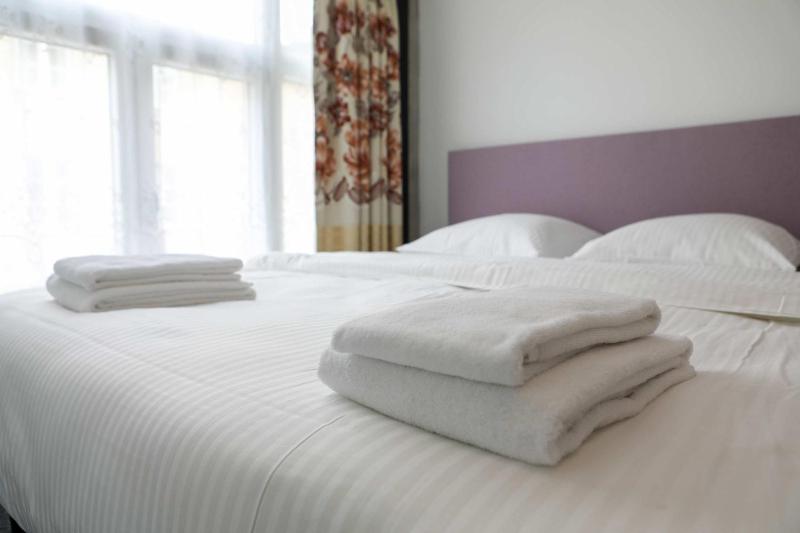 Kamiel -Belle Epoque apartment with modern comfort - image 7
