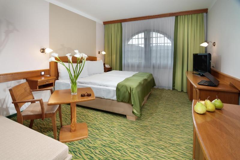 Comfort Double Room image 3