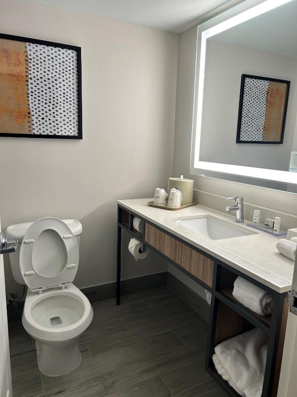 King Studio Suite with Bath Tub - Mobility Access/Non-Smoking image 4
