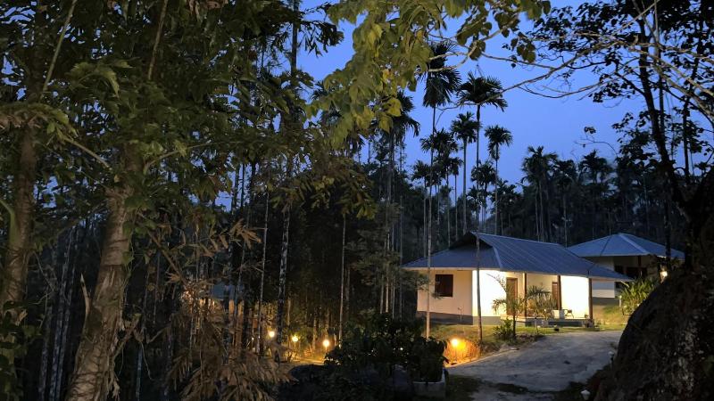 Cave Valley Wayanad - image 41