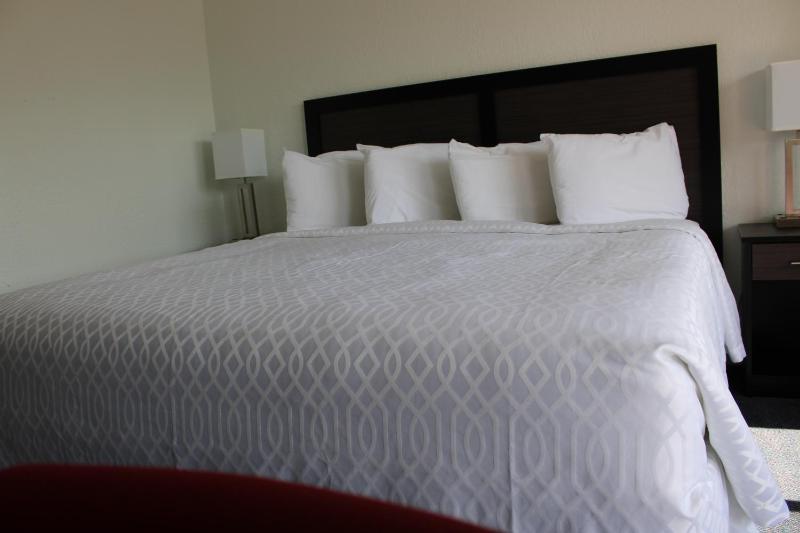 Single Room image 4