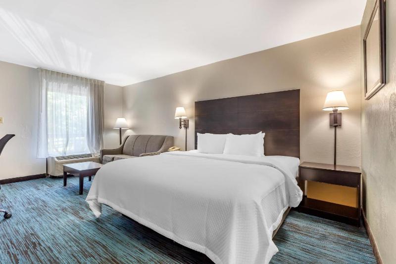 King Room - Non-Smoking image 3
