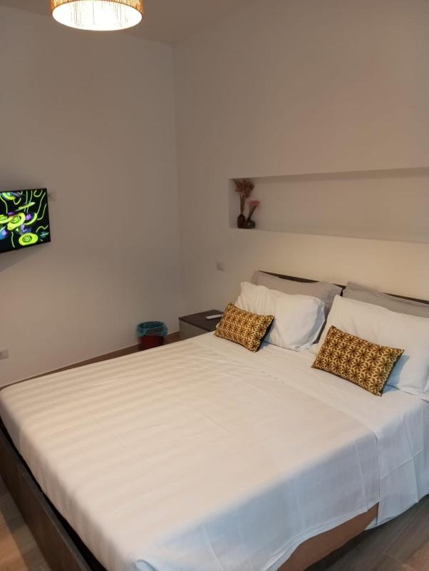 Two-Bedroom Deluxe Apartment image 4