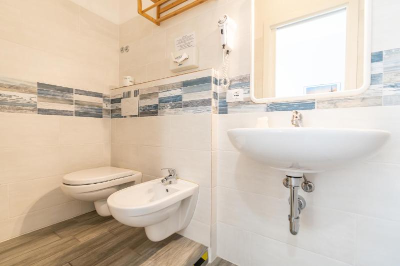 Deluxe Double or Twin Room image 4