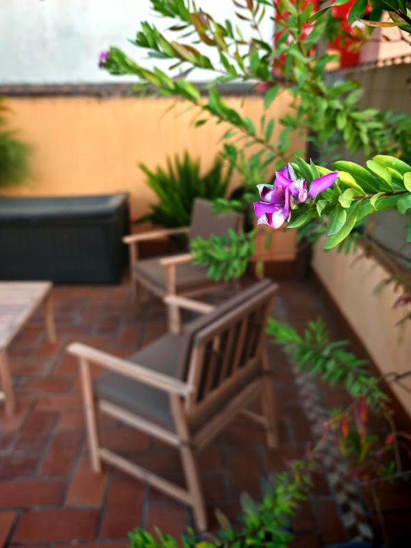 Apartment with Terrace image 3