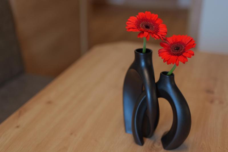 Two-Bedroom Apartment image 3