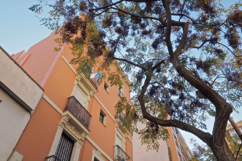 Sunny Apartments Barcelona - image 5