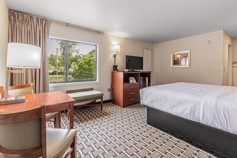 Single King Room - Non-Smoking image 2