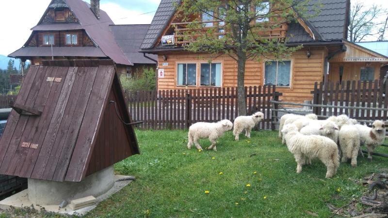 Pokoje u Sarnowskich - image 23