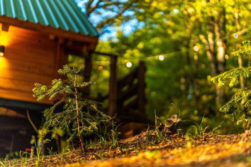 Mountain Tree House Komovi-Radunovic - image 15