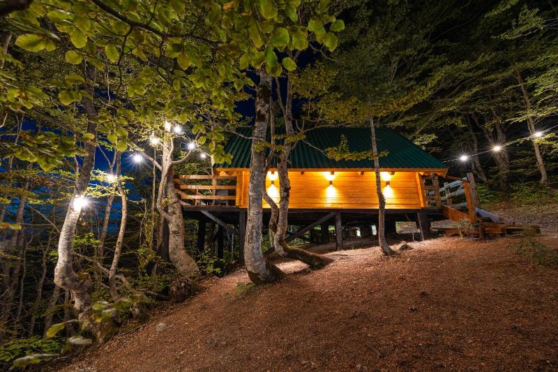 Mountain Tree House Komovi-Radunovic - image 13