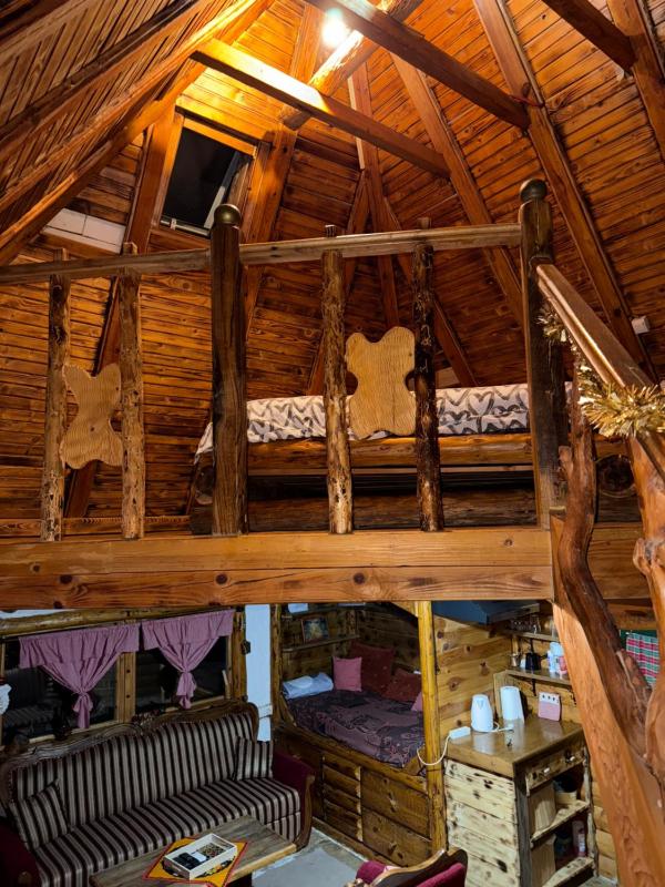 Brvnare Dolic - image 14