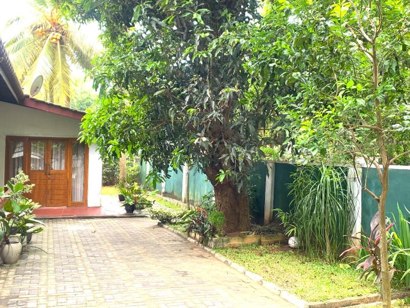 The Villa Kashyapa - image 9