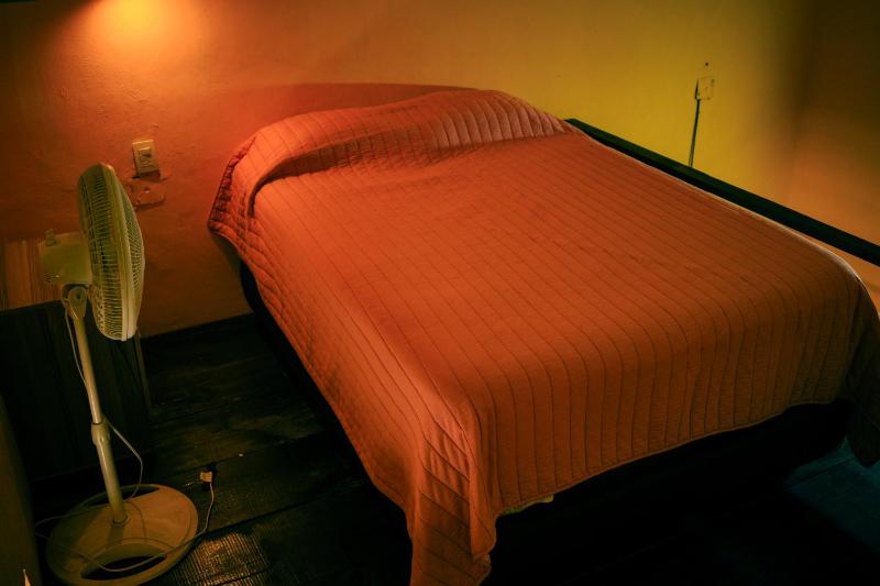 La Esmeralda Oaxaca - image 3