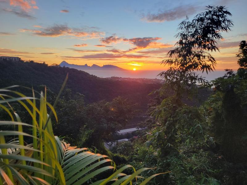 Papeete Secret Spot - image 1