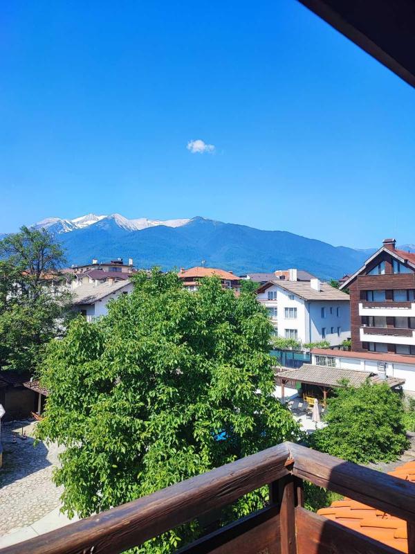 Guest House Ela - image 14