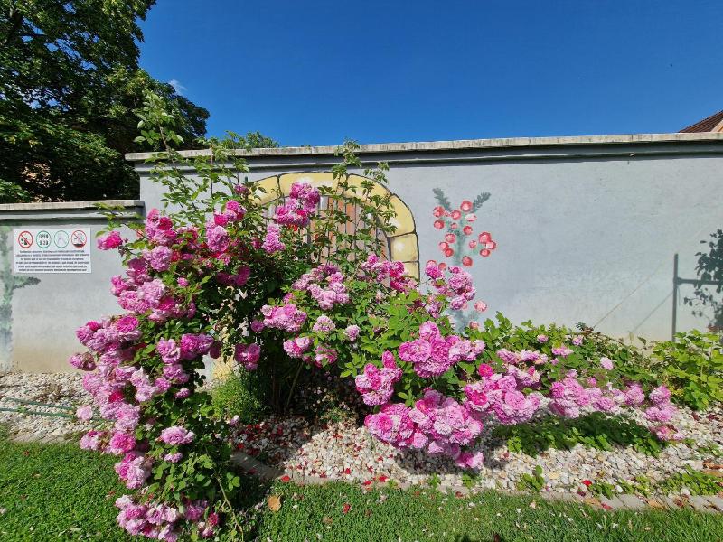 Villa Letícia Siófok - image 28
