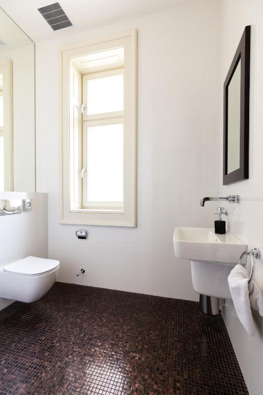Luxury Apartment image 3