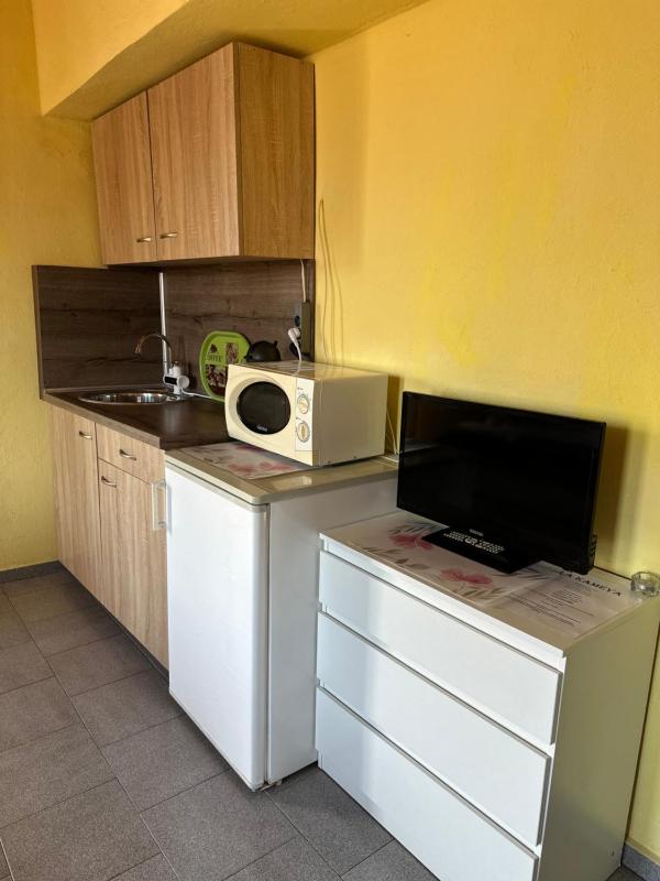 Studio with Balcony image 3