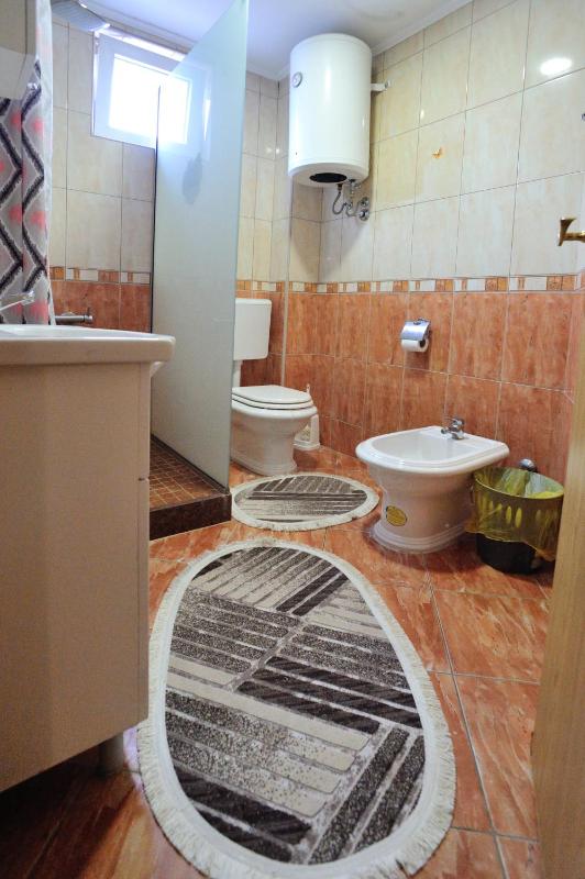 Apartment with Balcony image 3