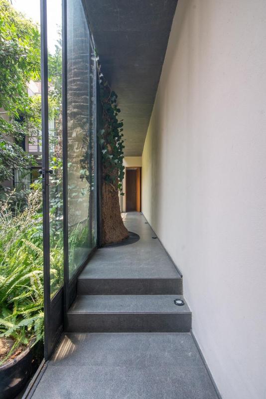 Livin Condesa - image 49