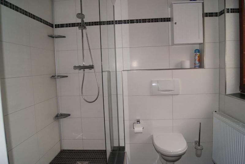 Two-Bedroom Apartment image 4