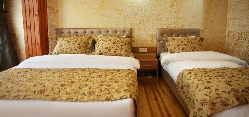 Theodian Hotel - image 16