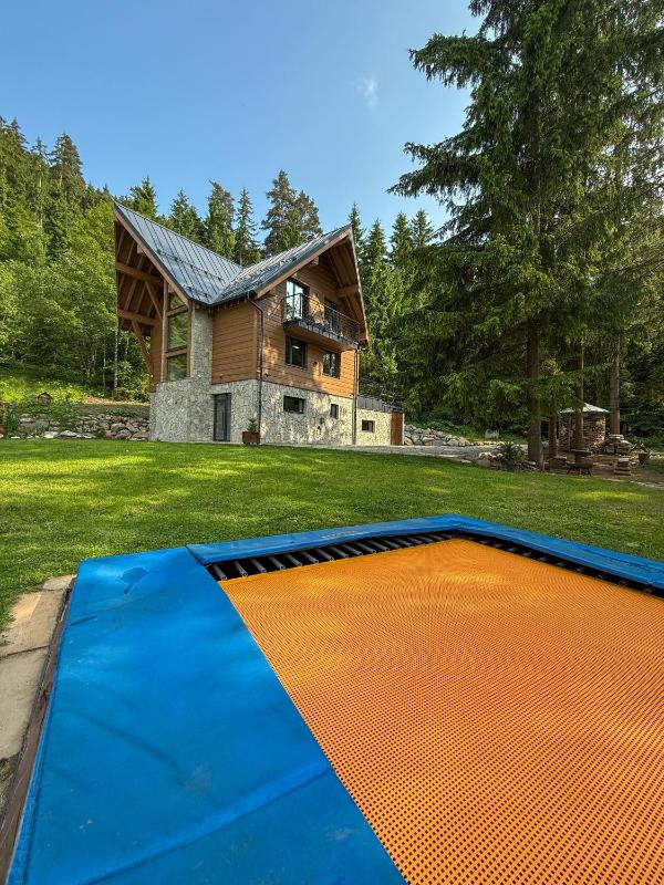 Chalet Vista Biohacking & Jacuzzi Recovery Chalet - image 33