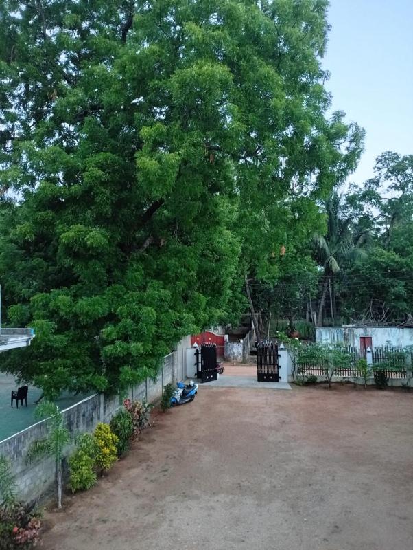 Dila Beach Resort - image 29