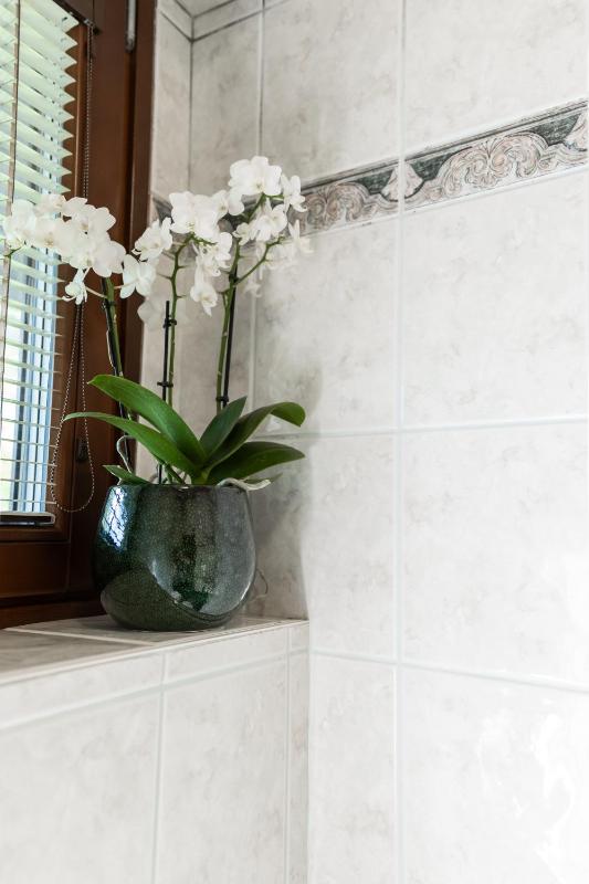 One-Bedroom Apartment with Terrace image 4