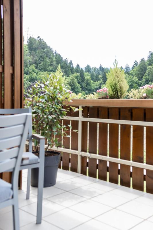 One-Bedroom Apartment with Terrace image 3