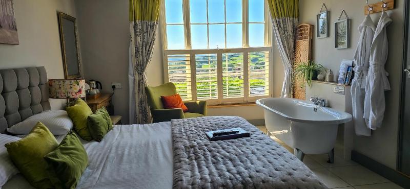 Deluxe Double or Twin Room image 1