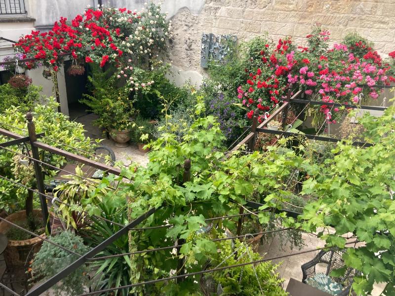 Le Cloitre des Augustins 5 stars Spa & Fitness - image 5