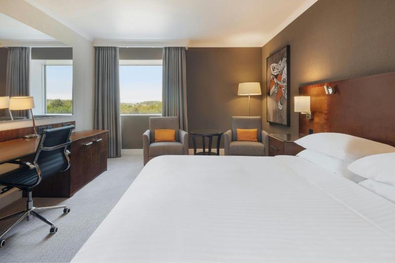 Deluxe King Room image 3
