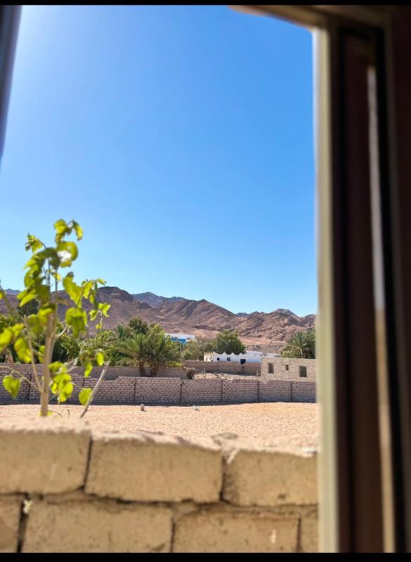 Bohemian Guest-House Dahab - image 9
