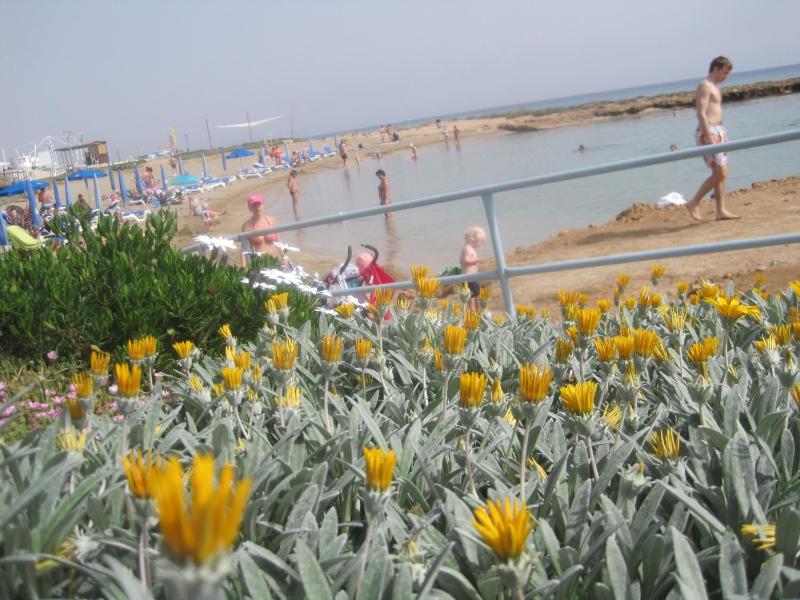 Polyxenia Isaak Luxury Villas and Apartments - image 3