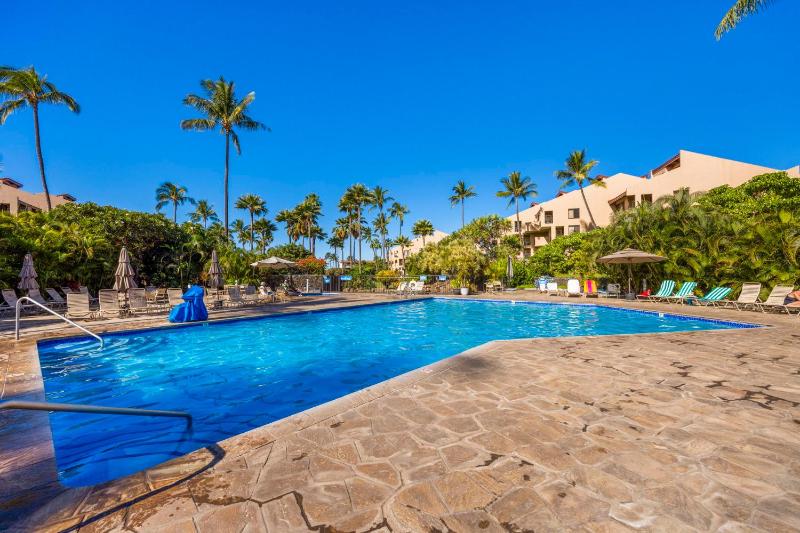 Charming Elegant Oceanview 1Bd 2Ba In Front Building - image 5