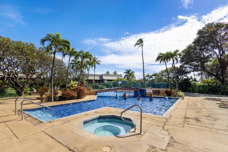 Stunning Koa Resort 3bd Villa with private Jet Spa - image 4