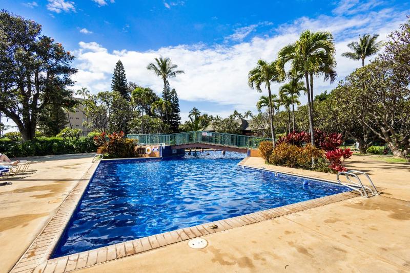 Stunning Koa Resort 3bd Villa with private Jet Spa - image 25