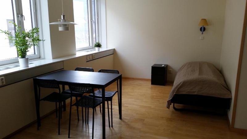 One-Bedroom Apartment image 2