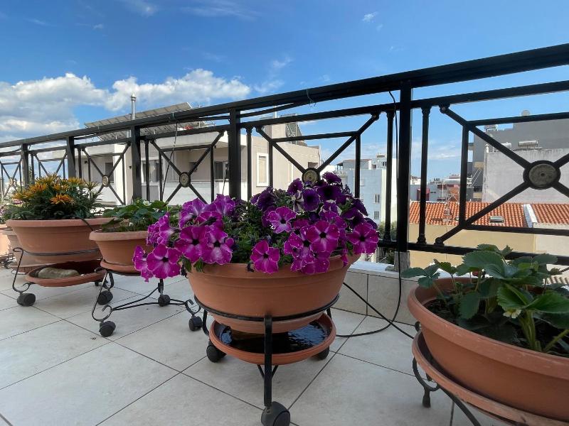 Central Apartment AXD - image 9