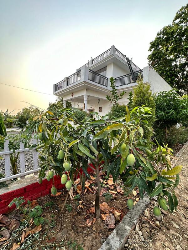 PRITHVI FOREST HOMESTAY - image 13