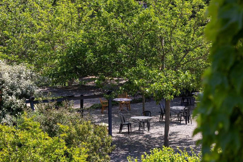 Comfort Studio with Park View image 2