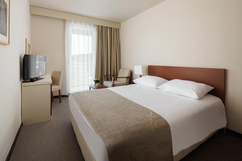 Classic Room with French Bed and Balcony – Single Use image 4