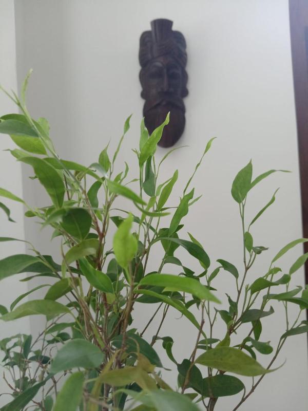 Villa Nibbhana - Entire villa - image 6