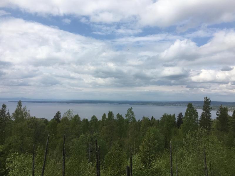 One-Bedroom Cottage with Lake View  image 3