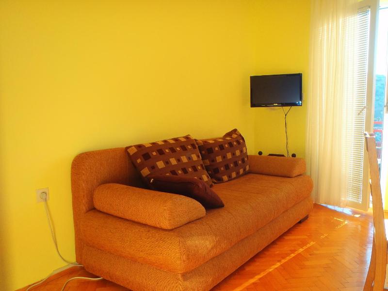 One-Bedroom Apartment with Sofa Bed (4 Adults) image 4