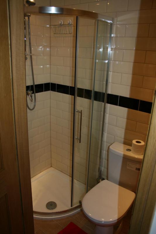 One-Bedroom Apartment image 3