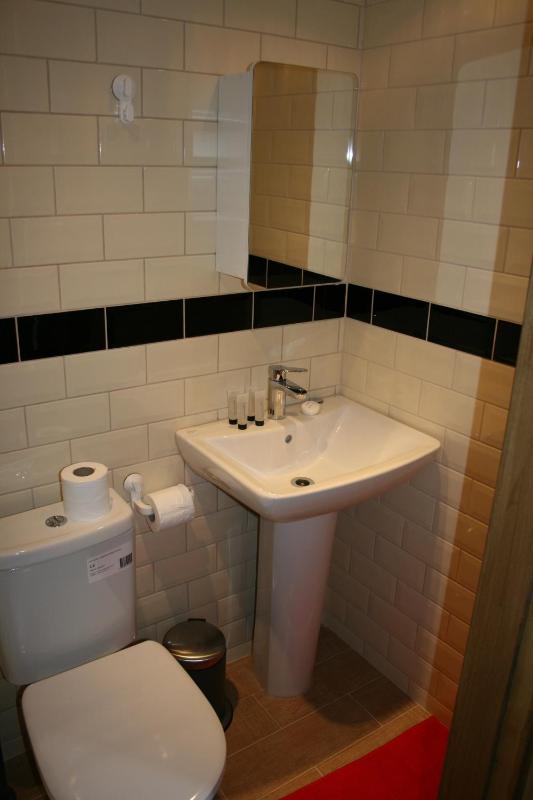 One-Bedroom Apartment image 2